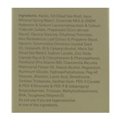 AHAVA Purifying Mud Mask | Face Care