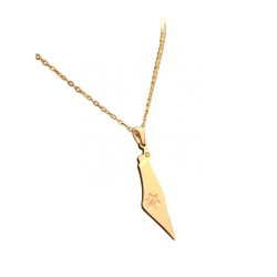 Gold Stainless Steel Pendant Necklace Outline of Isr... | IDF Dog-Tags