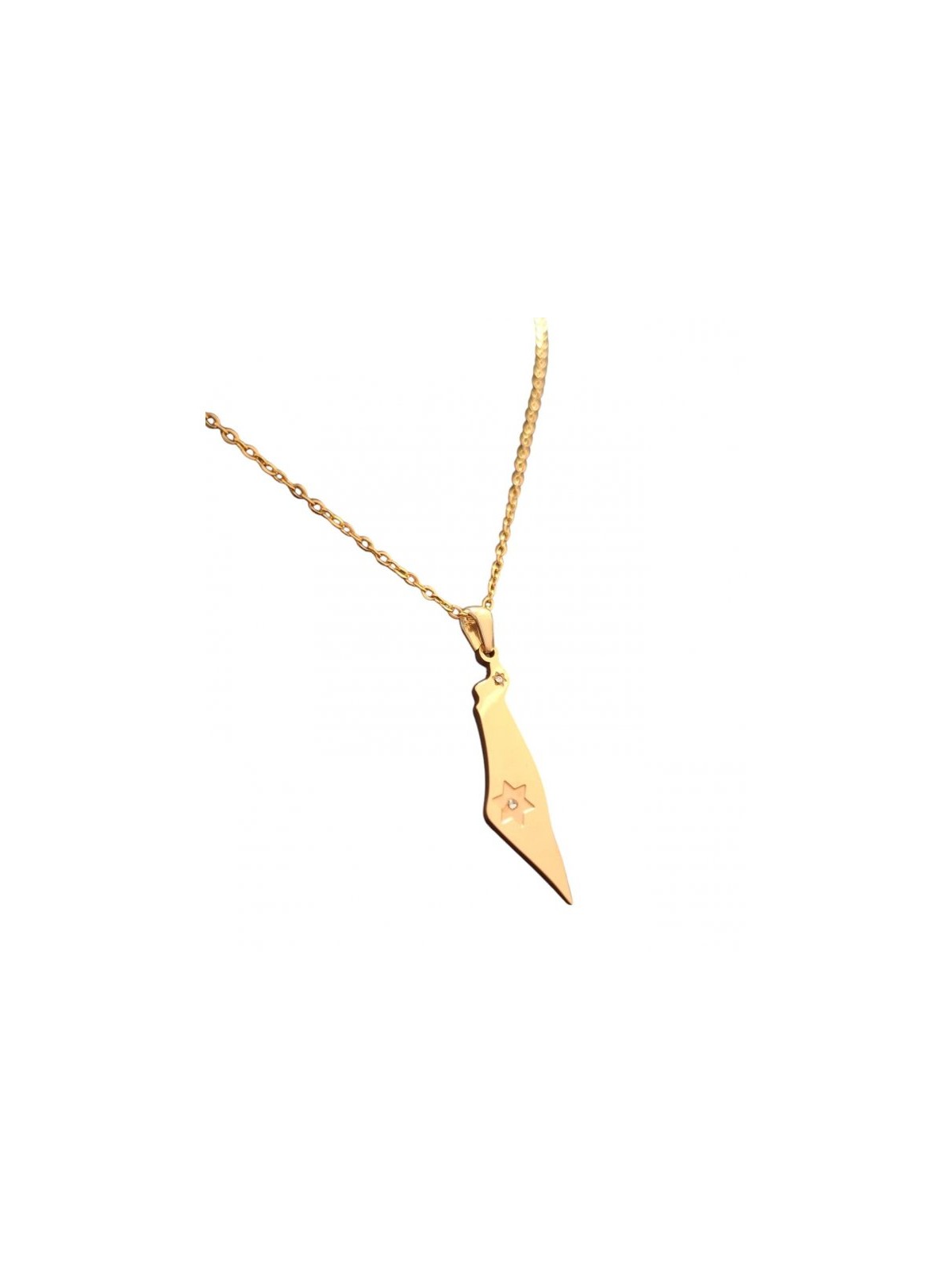 Collier pendentif en acier inoxydable doré Contour d'Isr... | Plaques d'identité de la FDI