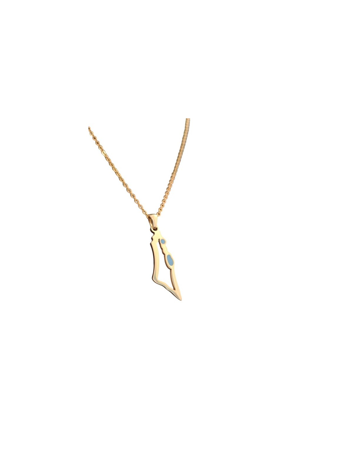 Gold Stainless Steel Pendant Necklace Outline Map of... | IDF Dog-Tags