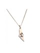 Collier pendentif en acier inoxydable argenté Carte d'Israël... | Plaques d'identité de la FDI