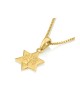 Collier pendentif en or 14 carats Étoile de David... | Bijoux Judaica en or 14 carats