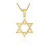 14K Gold Necklace Classic Shaped Star of... | 14k Gold Judaica Jewelry