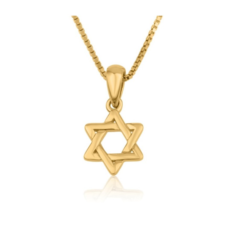 14K Solid Gold Pendant Necklace with Sta... | 14k Gold Judaica Jewelry