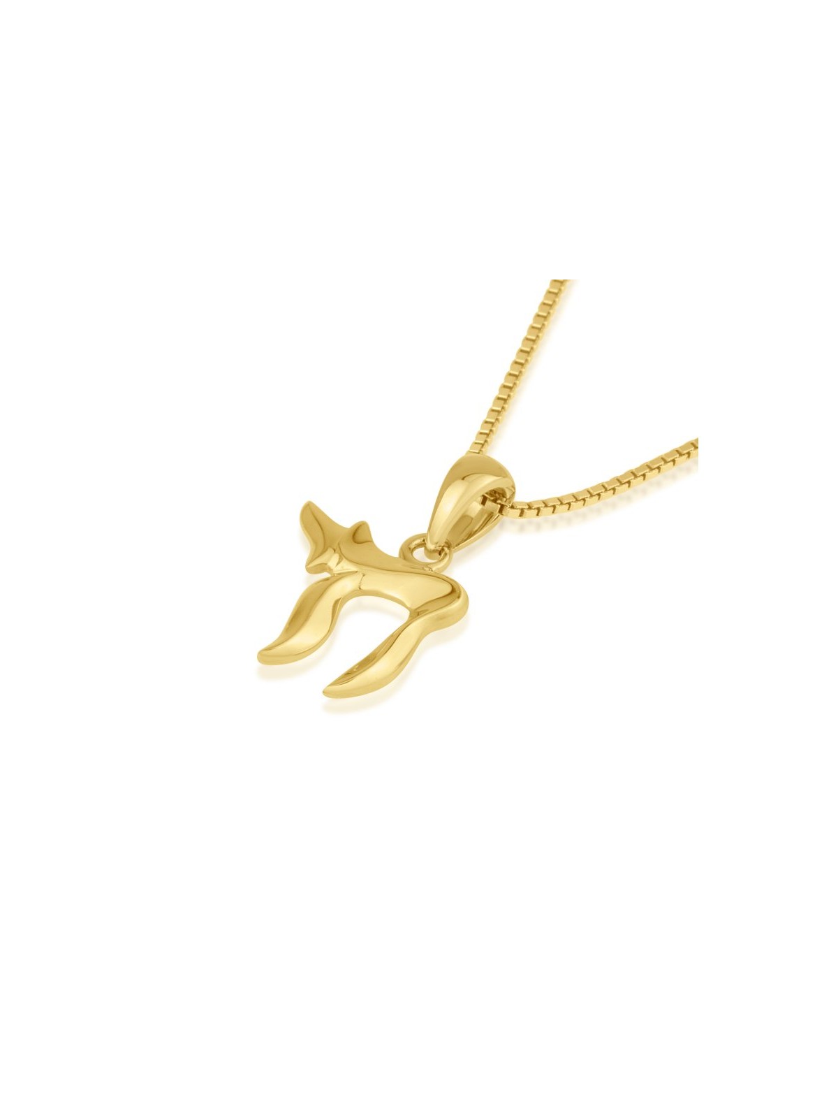 14k Solid Gold Pendant Necklace with Two... | 14k Gold Judaica Jewelry