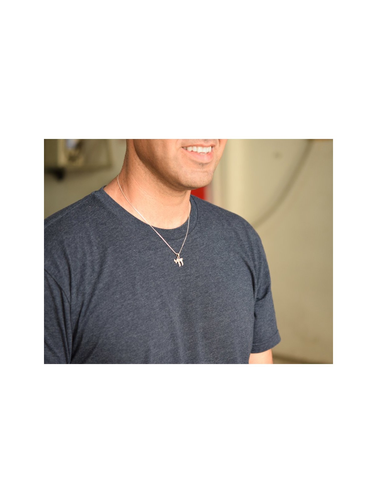 Classic Chai Pendant Necklace in Sterli... | Chai Necklaces & Pendants