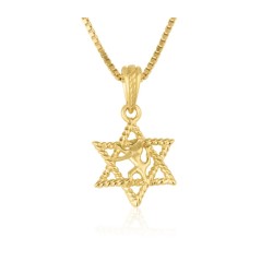 Collier et pendentif en or massif 14 carats Lion... | Bijoux Judaica en or 14 carats