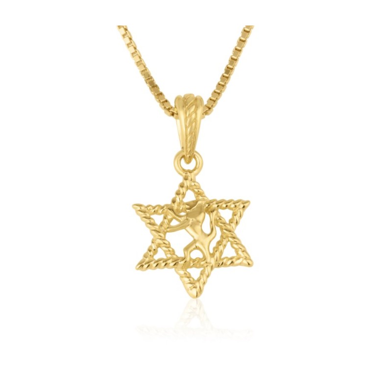 Collier et pendentif en or massif 14 carats Lion... | Bijoux Judaica en or 14 carats