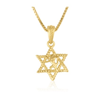 Collier et pendentif en or massif 14 carats Lion... | Bijoux Judaica en or 14 carats