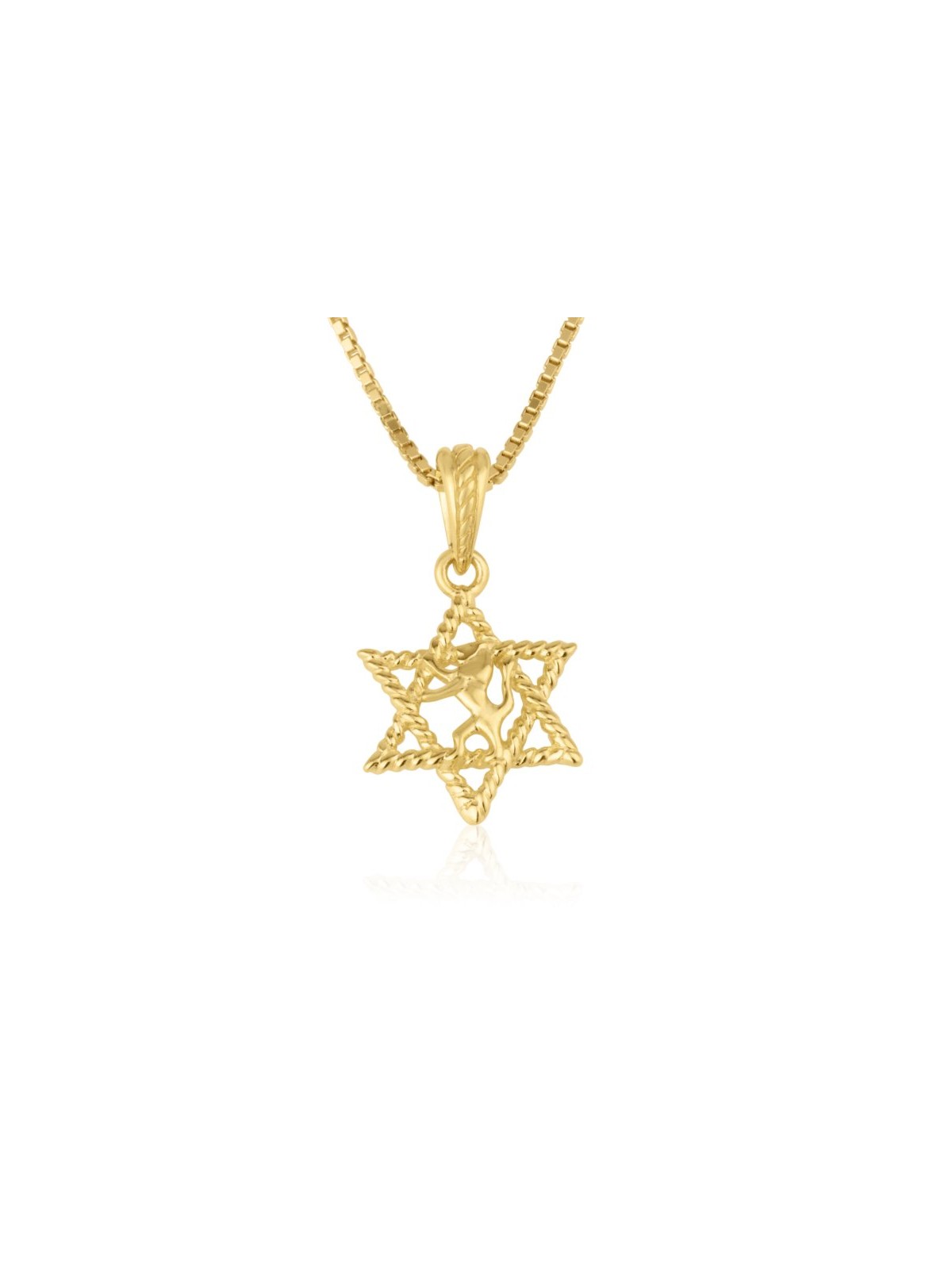 14k Solid Gold Necklace and Pendant Lion... | 14k Gold Judaica Jewelry