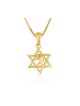 14k Solid Gold Necklace and Pendant Lion... | 14k Gold Judaica Jewelry