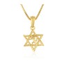 14k Solid Gold Necklace and Pendant Lion... | 14k Gold Judaica Jewelry