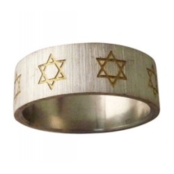 Stainless Steel Ring with Gold Star of David | Jewish Rings
