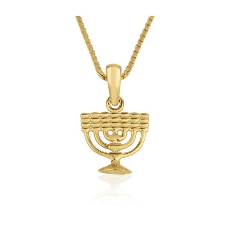 Collier en or 14 carats avec pendentif %96 Image... | Bijoux Judaica en or 14 carats