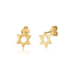 Yellow Gold 14K Star of David Stud Earrings | Earrings