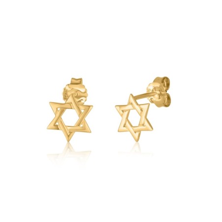 Yellow Gold 14K Star of David Stud Earrings | Earrings
