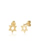 Yellow Gold 14K Star of David Stud Earrings | Earrings