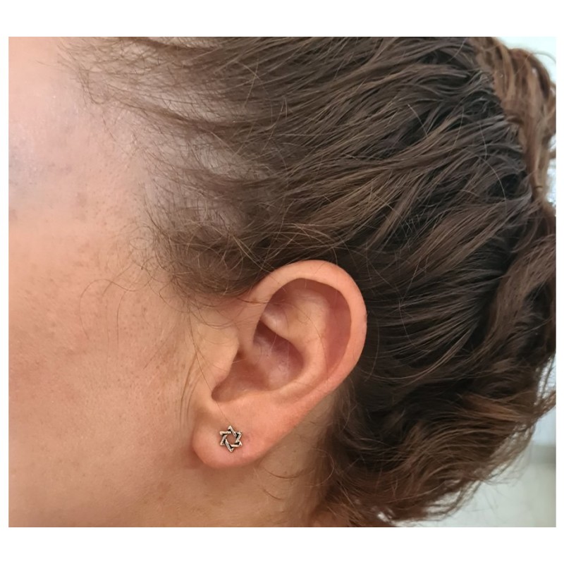 Star of David 925 Sterling Silver Stud Earrings | Earrings