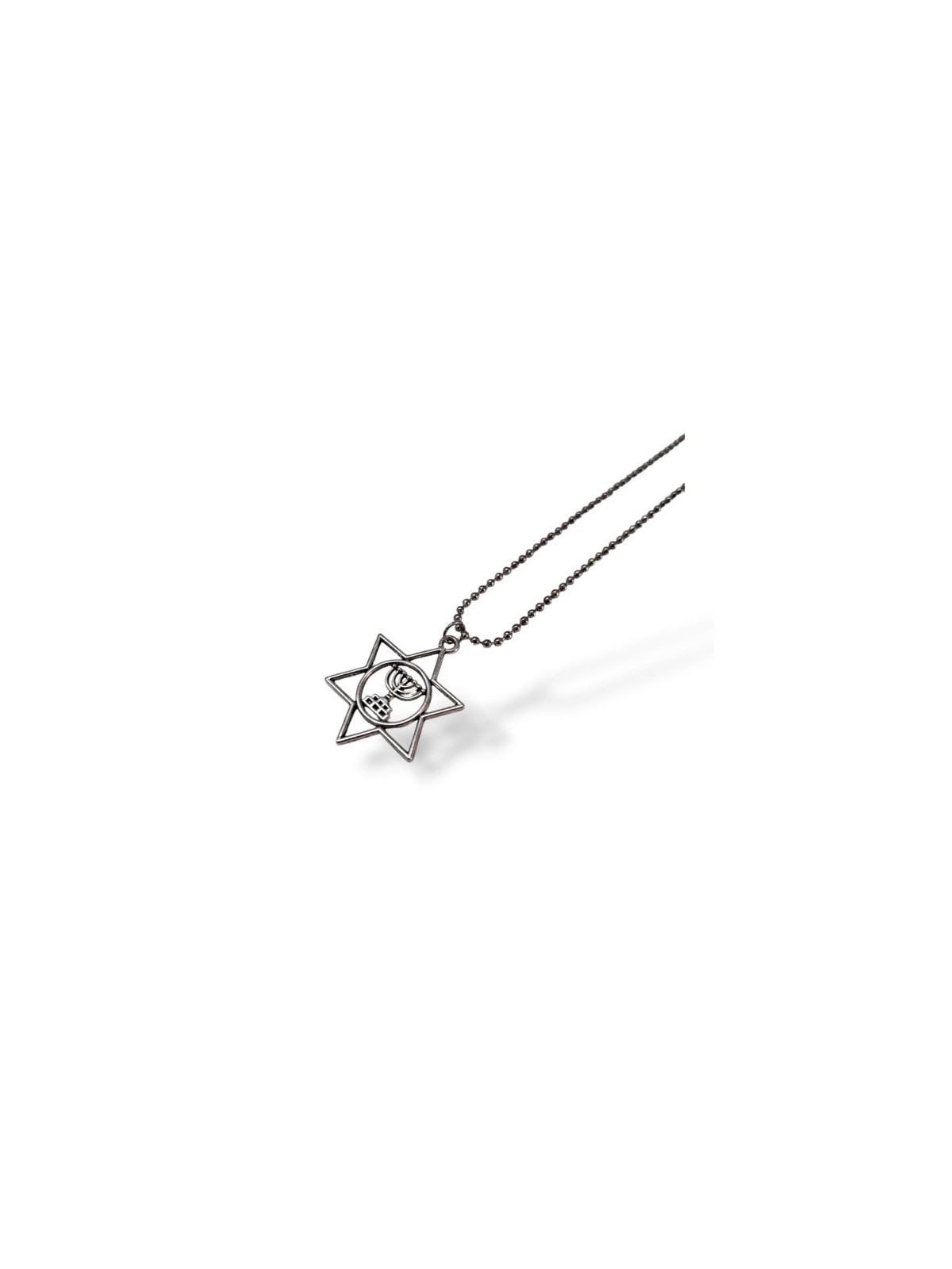 Pendant Necklace Star of David enclosing a Menorah I... | IDF Dog-Tags
