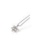 Pendant Necklace Star of David enclosing a Menorah I... | IDF Dog-Tags