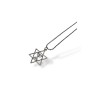 Pendant Necklace Star of David enclosing a Menorah I... | IDF Dog-Tags