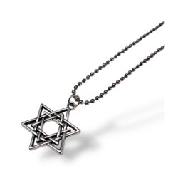 Pendant Necklace Double Star of David %96 Stainless ... | IDF Dog-Tags