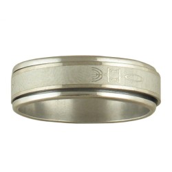 Stainless Steel Revolving Fish Ring | Jewish Rings
