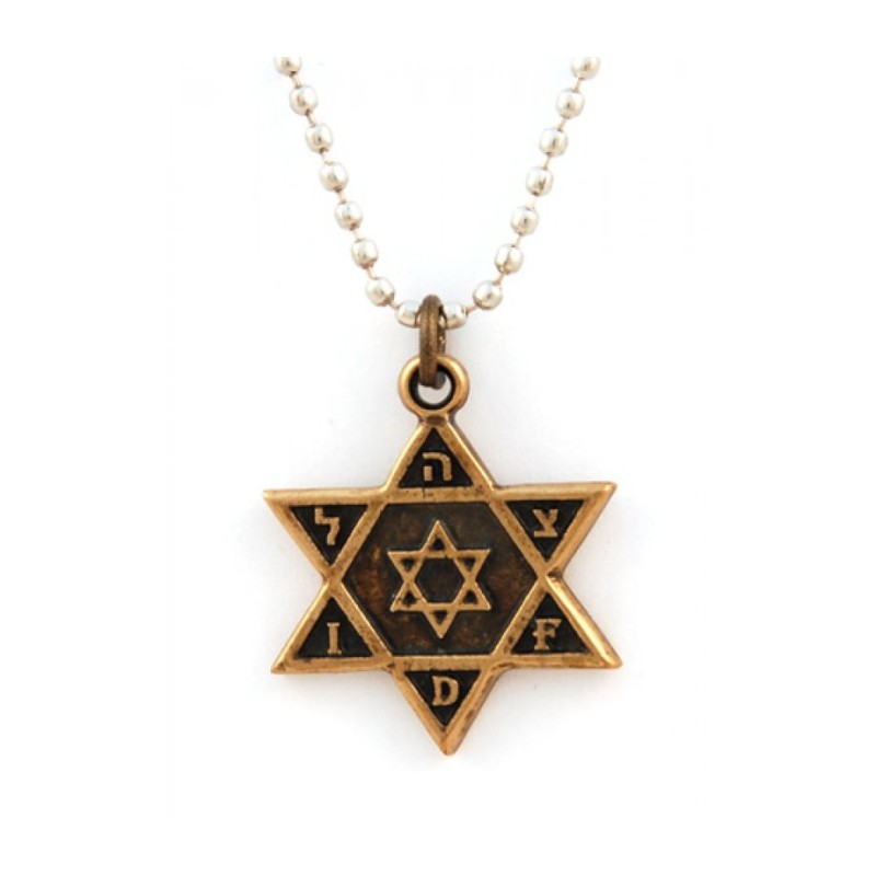 Collier Bronze IDF Tzahal Armée Israélienne Étoile de David... | Armée israélienne