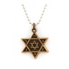 Necklace Bronze IDF Tzahal Israeli Army Star of Davi... | Israeli Army