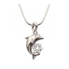 Rhodium Pendant Necklace Dolphin with Gle... | Jewish Gift from Israel