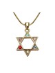 Rhodium Pendant Necklace Gold Star of Dav... | Jewish Gift from Israel