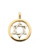 Gold Filled Pendant Two Tone Star of Davi... | Jewish Gift from Israel