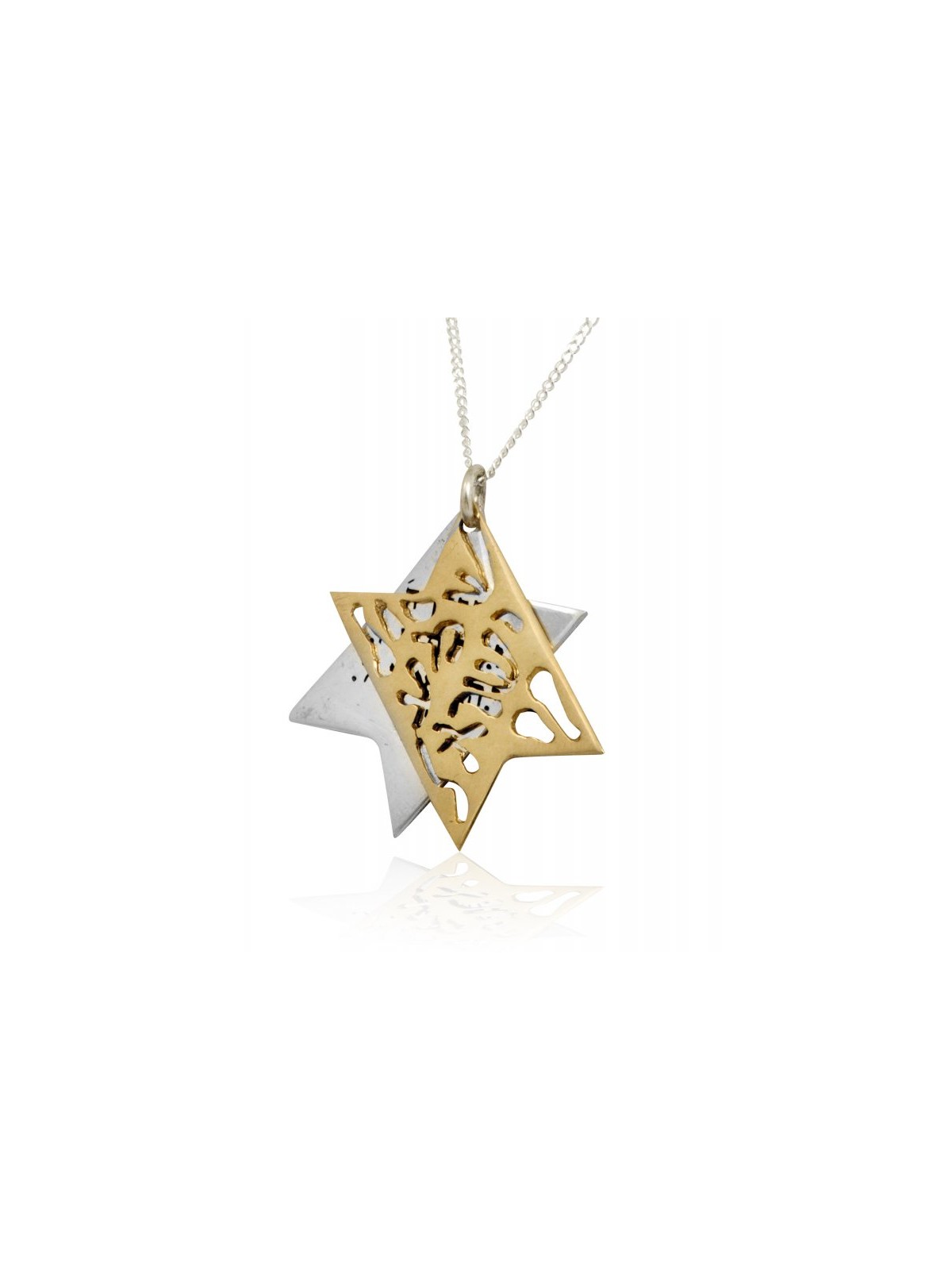 HaAri Jewelry Shema Yisrael Star of David Two Tone Pe... | Top Sellers