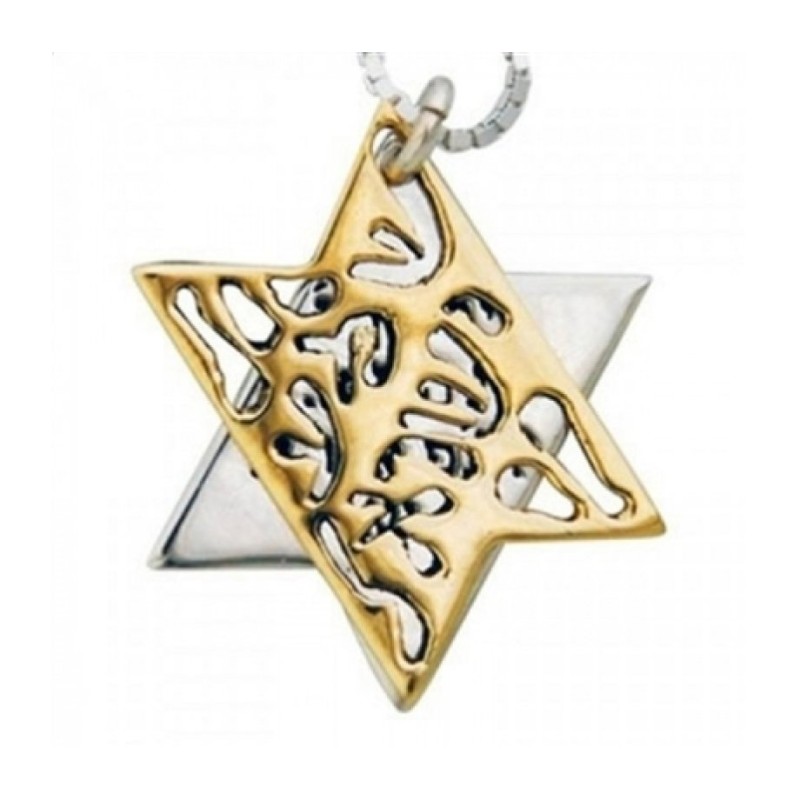HaAri Jewelry Shema Yisrael Star of David Two Tone Pe... | Top Sellers