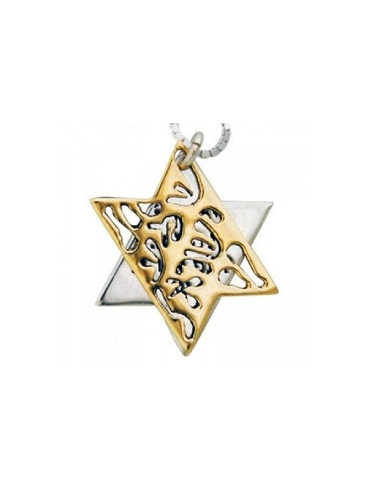 HaAri Jewelry Shema Yisrael Star of David Two Tone Pe... | Top Sellers