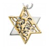 HaAri Jewelry Shema Yisrael Star of David Two Tone Pe... | Top Sellers