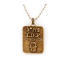 Necklace Israeli Army Dog Tag Bronze Hamsa Pendant T... | Israeli Army