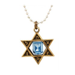 Collier Bronze Étoile de David Pendentif IDF avec Bleu... | Armée israélienne