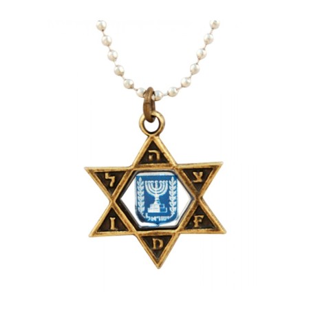 Collier Bronze Étoile de David Pendentif IDF avec Bleu... | Armée israélienne