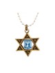 Collier Bronze Étoile de David Pendentif IDF avec Bleu... | Armée israélienne