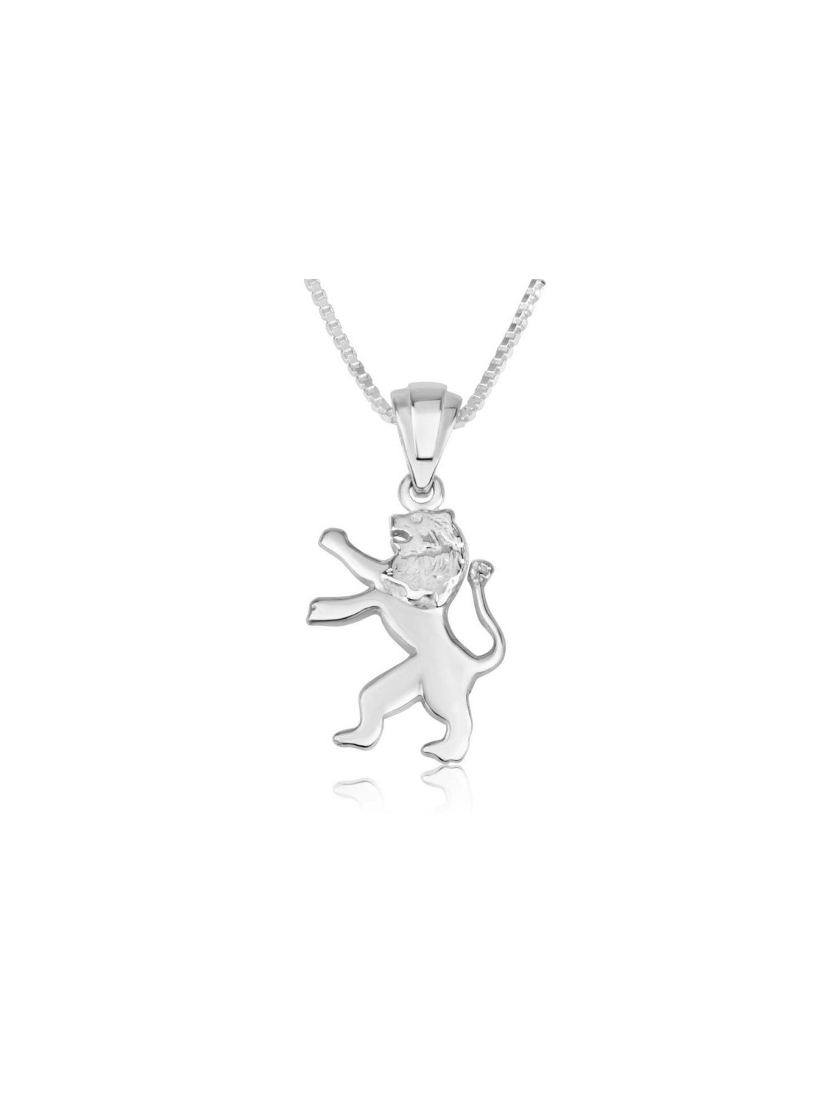 Sterling Silver Pendant Necklace Roaring Lion of J... | Jewish Pendant