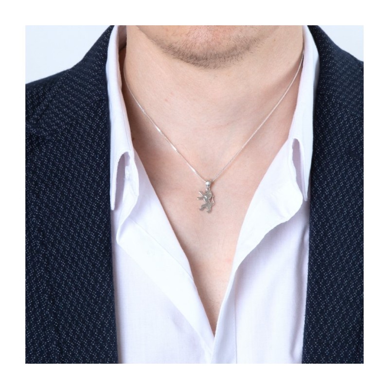 Sterling Silver Pendant Necklace Roaring Lion of J... | Jewish Pendant