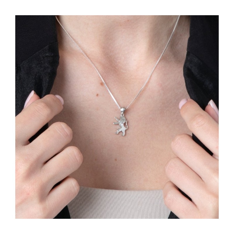 Sterling Silver Pendant Necklace Roaring Lion of J... | Jewish Pendant