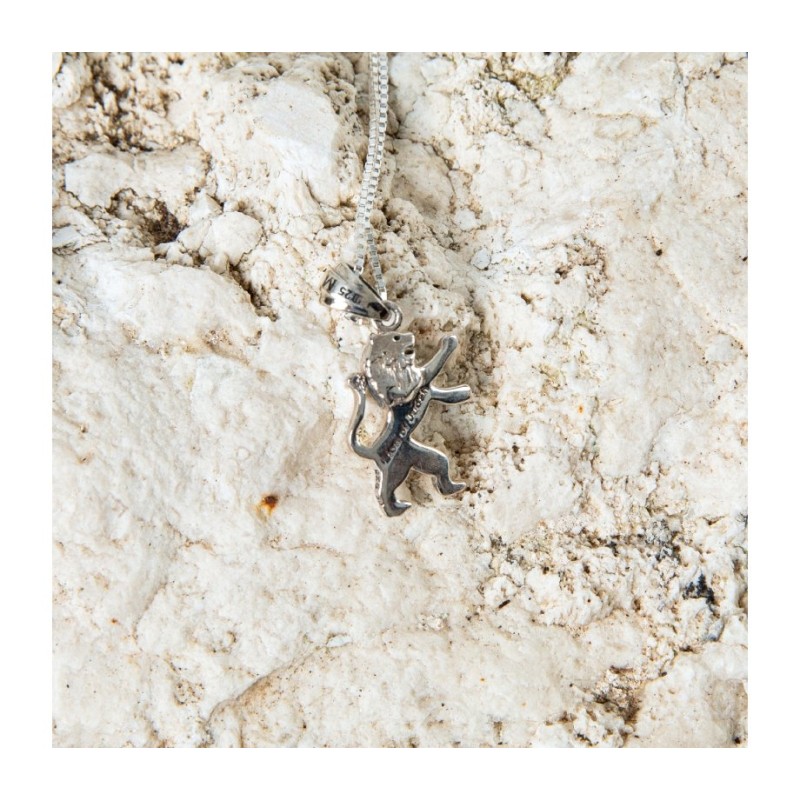 Sterling Silver Pendant Necklace Roaring Lion of J... | Jewish Pendant