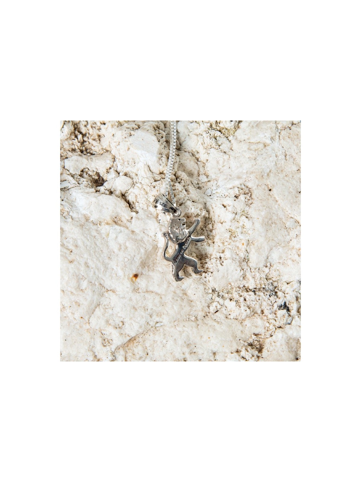 Sterling Silver Pendant Necklace Roaring Lion of J... | Jewish Pendant