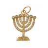 Gold Filled Zirconium Seven Branch Menorah Pendant | Menorah Pendants
