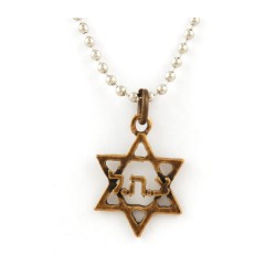 Collier Étoile de David de l'Armée Israélienne ZAHAL Pendentif Ch... | Armée israélienne