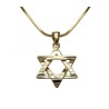 Rhodium Pendant Necklace Textured Star of... | Jewish Gift from Israel