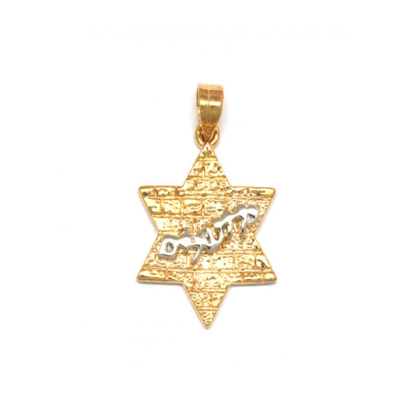 Gold Filled Western Wall Pendant Star of ... | Jewish Gift from Israel
