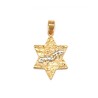 Gold Filled Western Wall Pendant Star of ... | Jewish Gift from Israel